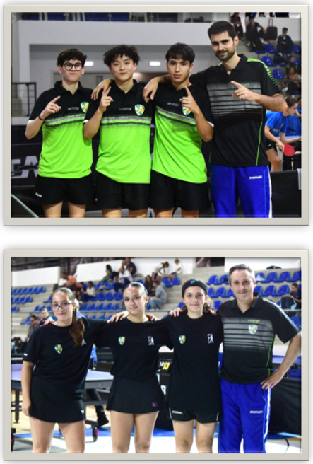 Torneio Inter Seleções Regionais